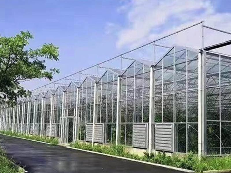案例展示